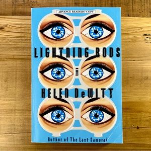 Lightning Rods by Helen DeWitt paperback